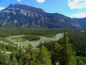 Alberta / Banff National Park / Bow River