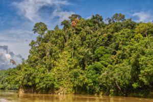Sarawak / Rajang River