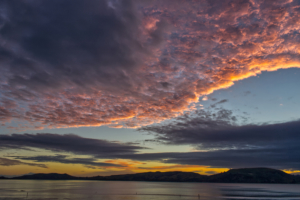 Dunedin / Otago Harbour