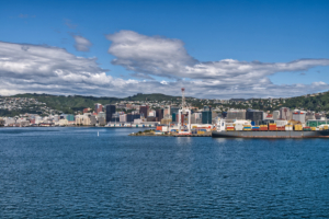 Wellington / Skyline