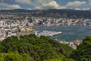Wellington / Skyline