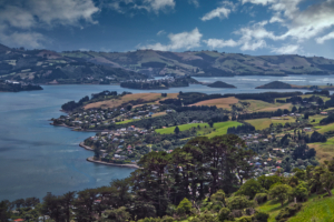 Dunedin / Otago Harbour