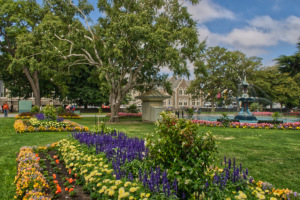 Christchurch / Botanic Gardens