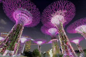 Gardens by the Bay