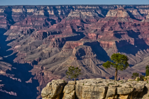 Arizone / Grand Canyon National Park
