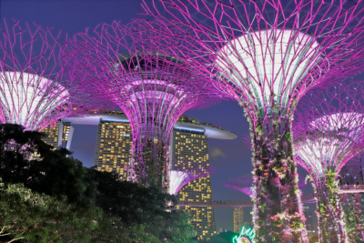Gardens by the Bay / Singapur
